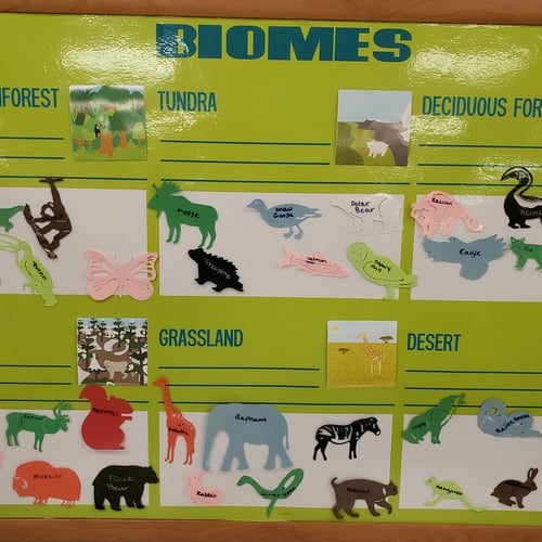 The Best Die Cut Machine for Schools